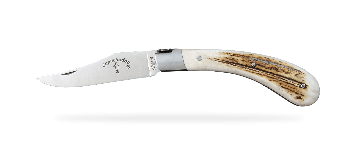 "Le Capuchadou®" 12 cm handmade knife, Stag
