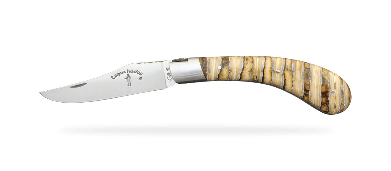 "Le Capuchadou®-Guilloché" 12 cm hand made knife, molar tooth of mammoth