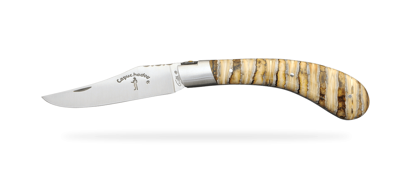 Le "Capuchadou®-Guilloché" 12 cm, molaire de Mammouth fossile