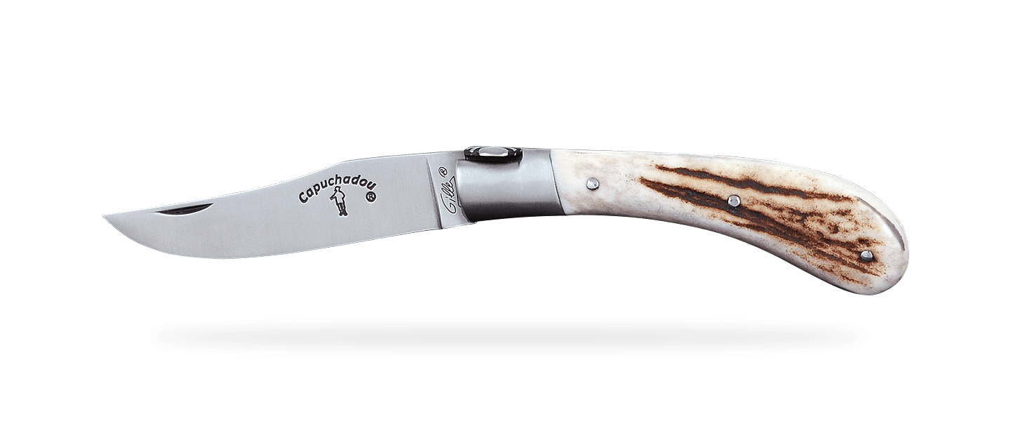 "Le Capuchadou®" 10 cm handmade knife, Stag