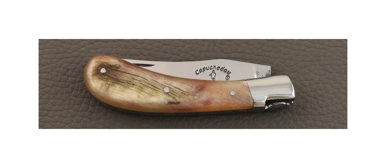 "Le Capuchadou®" 10 cm handmade knife, Ram horn